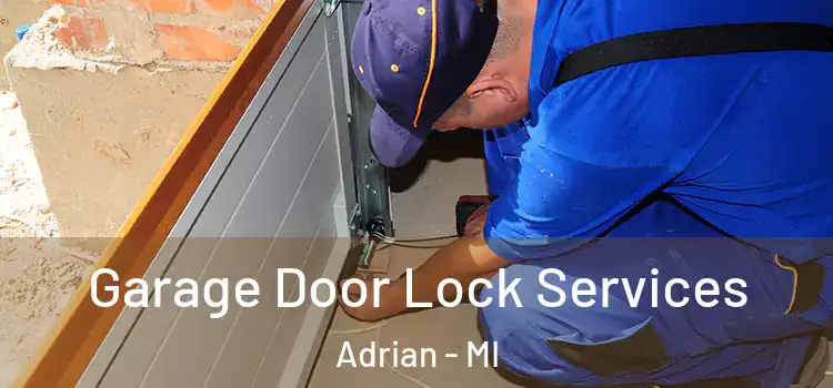 Garage Door Lock Services Adrian - MI