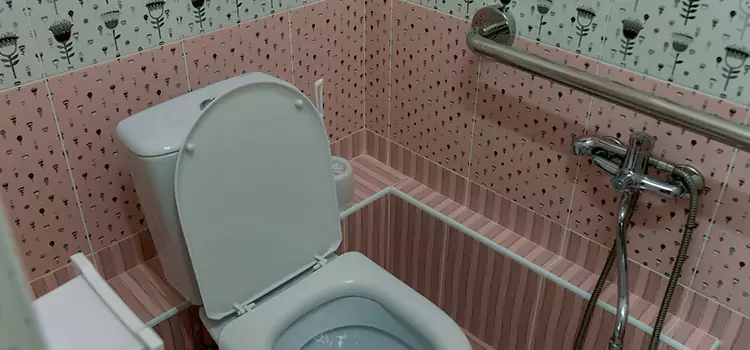 Meeting Diverse Needs With Accessible Restroom Solutions in Adrian, MI