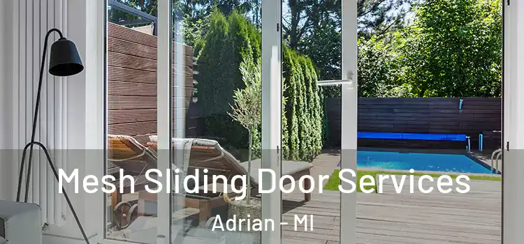 Mesh Sliding Door Services Adrian - MI